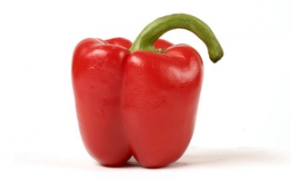 cambridge-videographer-freelance-camera-operator-wavefx-video-filming-editor-company-uk