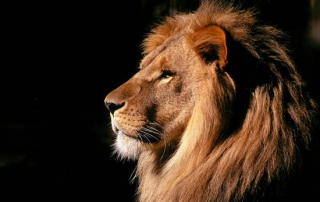 vision-mixing-film-event-company-cambridge-wavefx